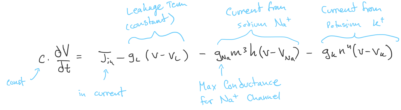 Hodgkin-Huxley equation